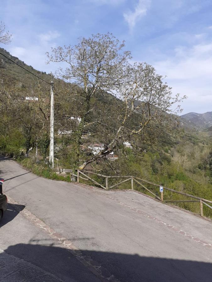 Aparatamento Rural El Oso 3 Pola de Somiedo Exteriör bild